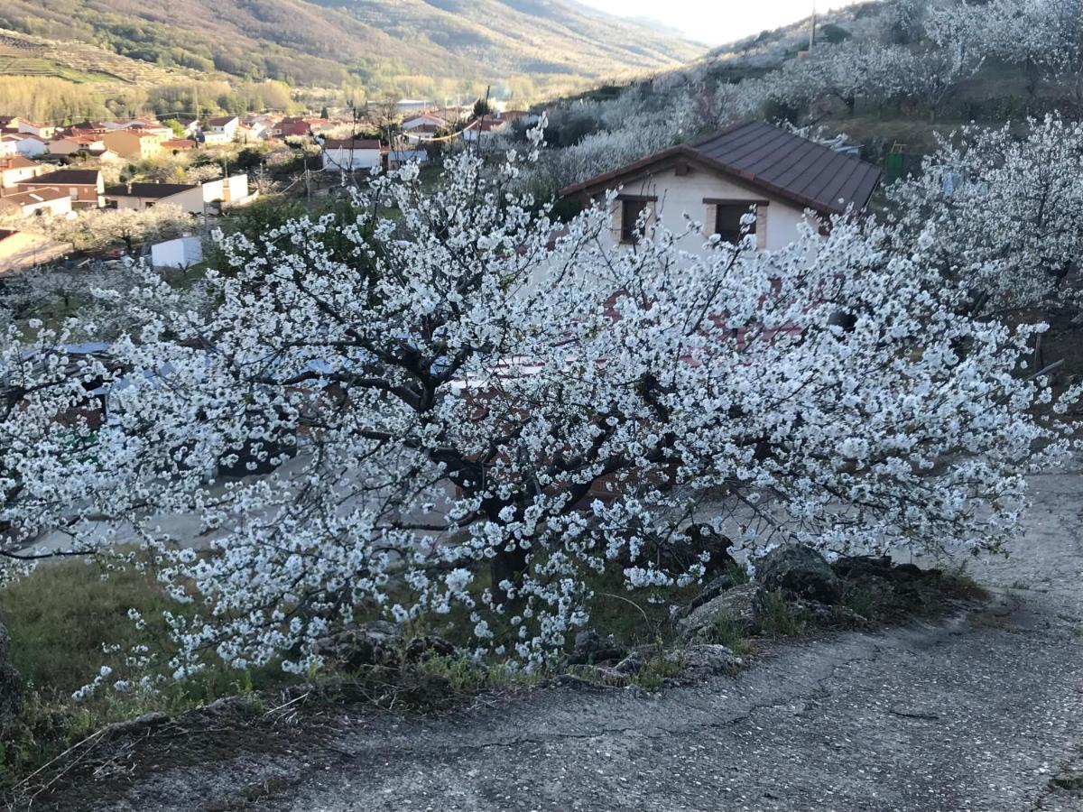 La Gargantilla 젤티 외부 사진