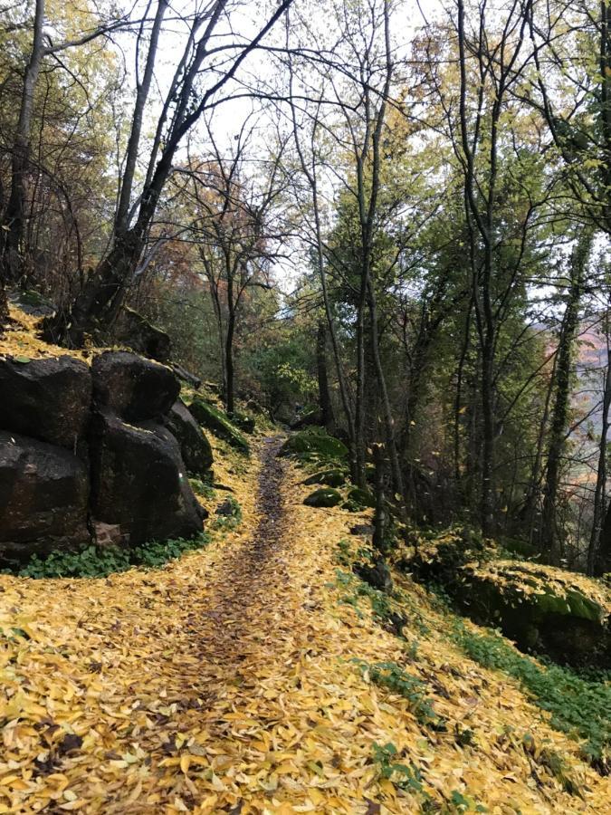 La Gargantilla 젤티 외부 사진